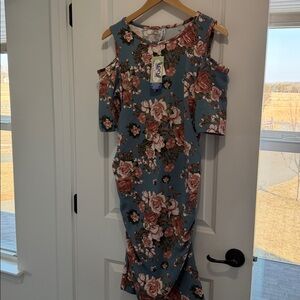 NWT! Planet Motherhood Blue and Pink Floral Midi Dress
